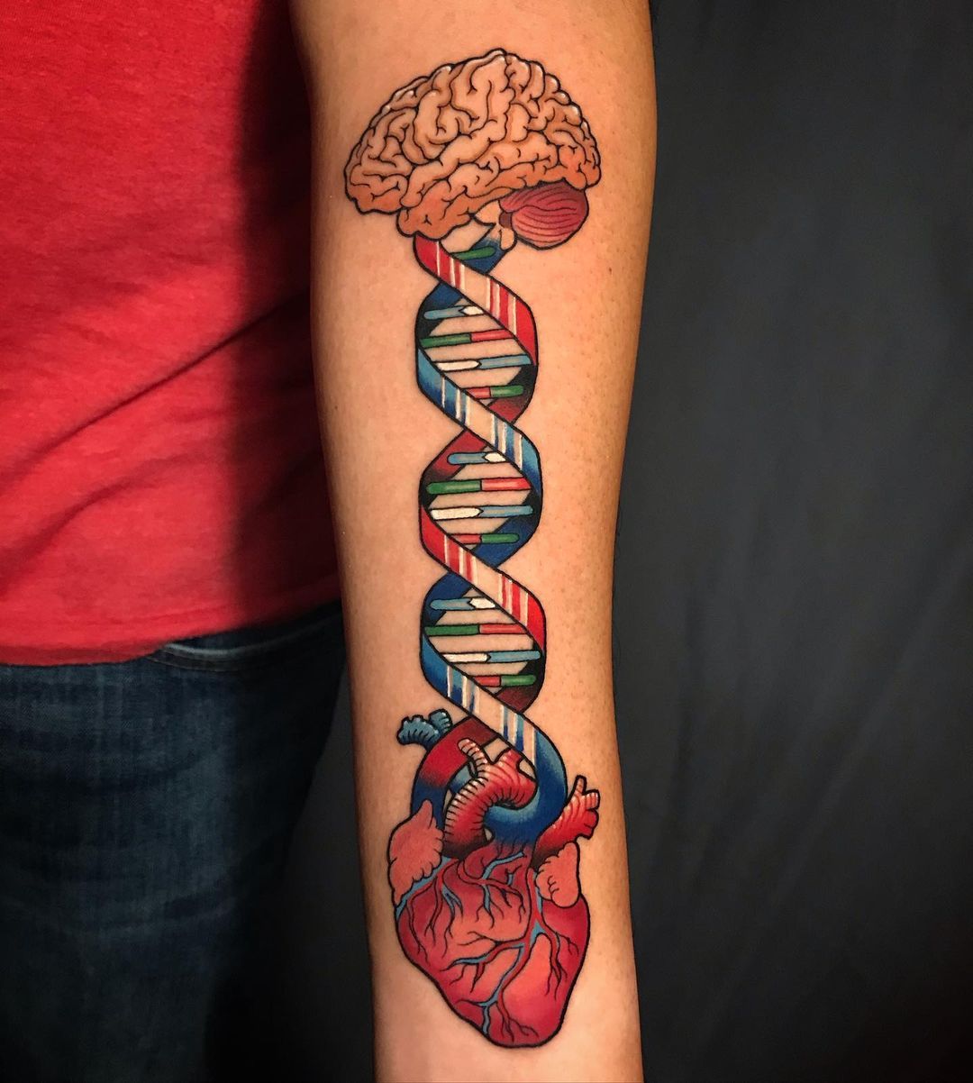 Heart and Brain Dotwork Tattoo by ArtMakia on DeviantArt