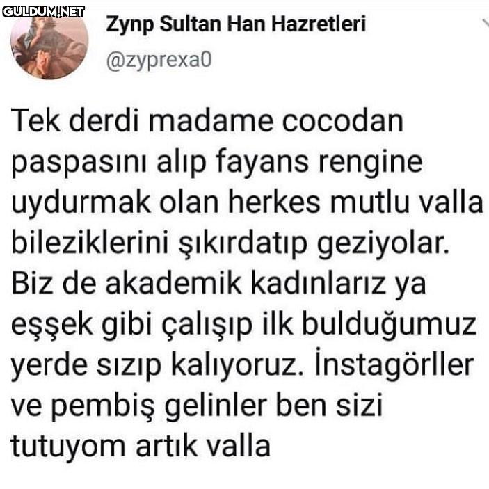 Haklı bir isyan Zynp...