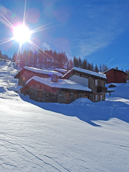 Mountain Cabin