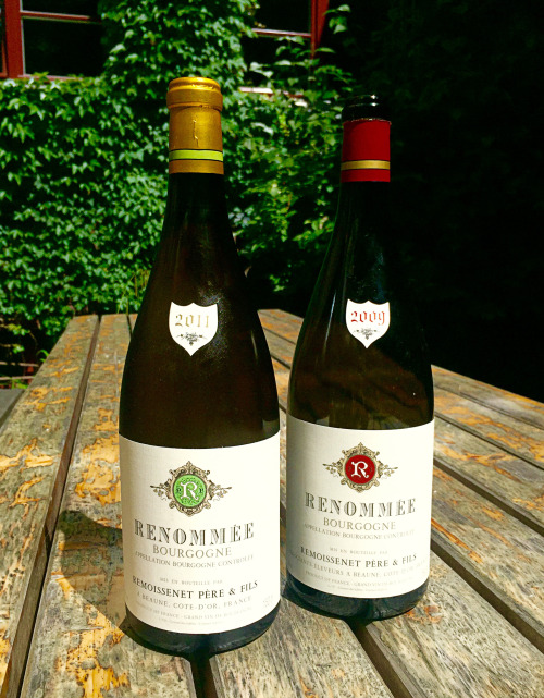 Kommt vorbei… zum Fussball gucken, gemeinsamen anfeuern und Wein trinken. Passend zur EM in Frankreich gibt es Roten und Weißen Remoissenet aus Burgund.