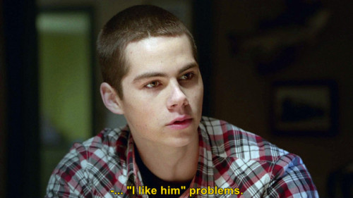 sterek