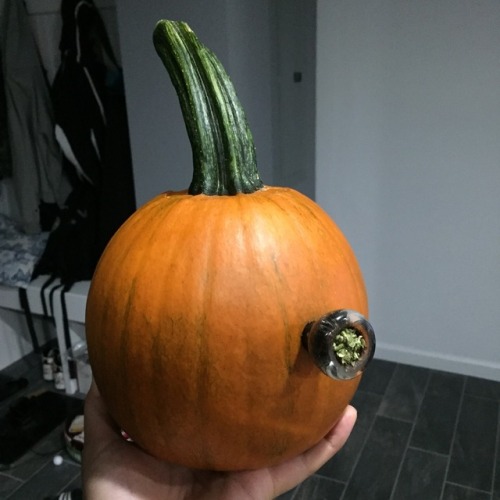 tokemon-master:Went pumpkin picking at Butler’s orchard yesterday and made my first pumpkin bong In