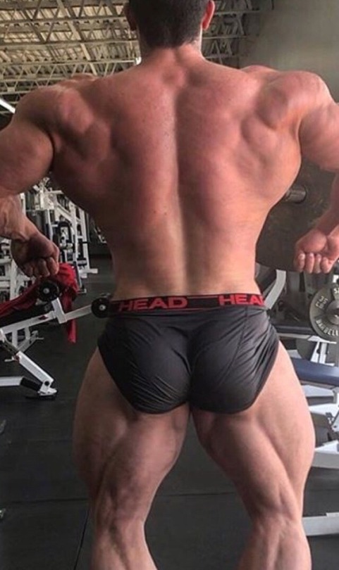 onlyasses5:  