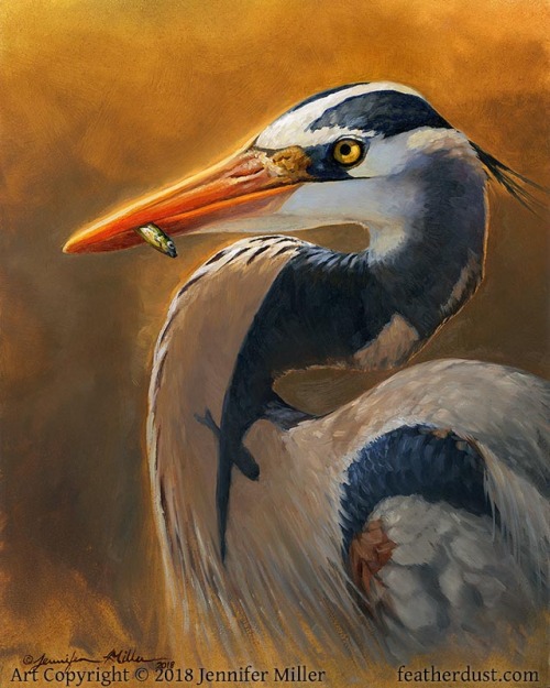  “The Short Story of a Fish”, Great Blue Heron. 8"x10" oil on panel. This was 