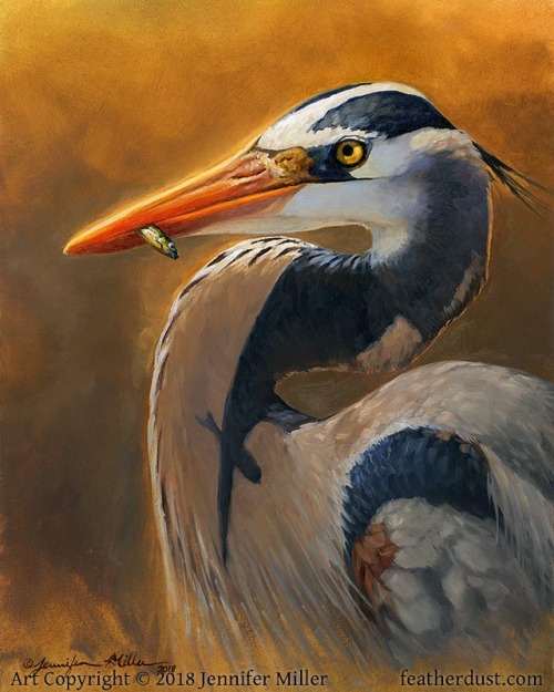 &ldquo;The Short Story of a Fish&rdquo;, Great Blue Heron. 8&quot;x10&quot; oil on p