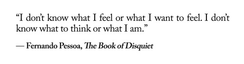 the book of disquiet