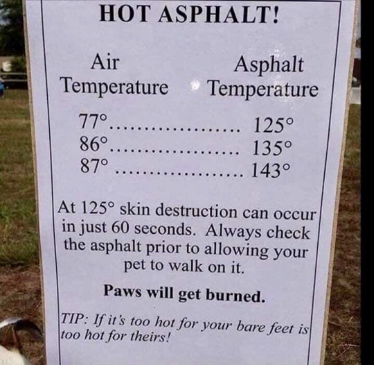 adirondackape:  We all love summer. We should also be careful with our four legged friends. 