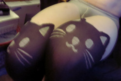 Surprise-Dong:  My Qpp Bought Me Cat Tights!! I Love Him!!