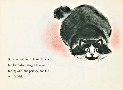uwmspeccoll:  Milestone MondayOn this day April 10 in 1903, noted American author and illustrator of cats  Clare Turlay Newberry (1903-1970) was born in Enterprise, Oregon. She spent the majority of her career illustrating cats, especially for many of