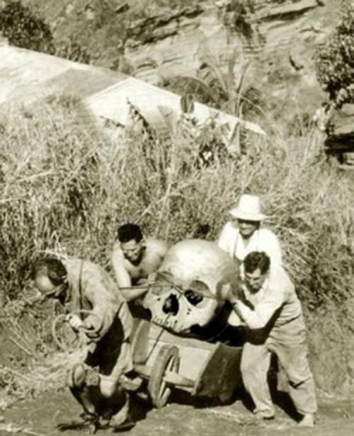 Pitcairn Island, New Zealand - 1934. Local farmers are trying to hide pieces of a