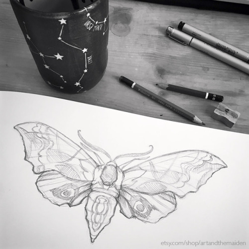 my new favorite cup and a hawk-eyed moth (which will turn into a tattoo eventually, and probably a p