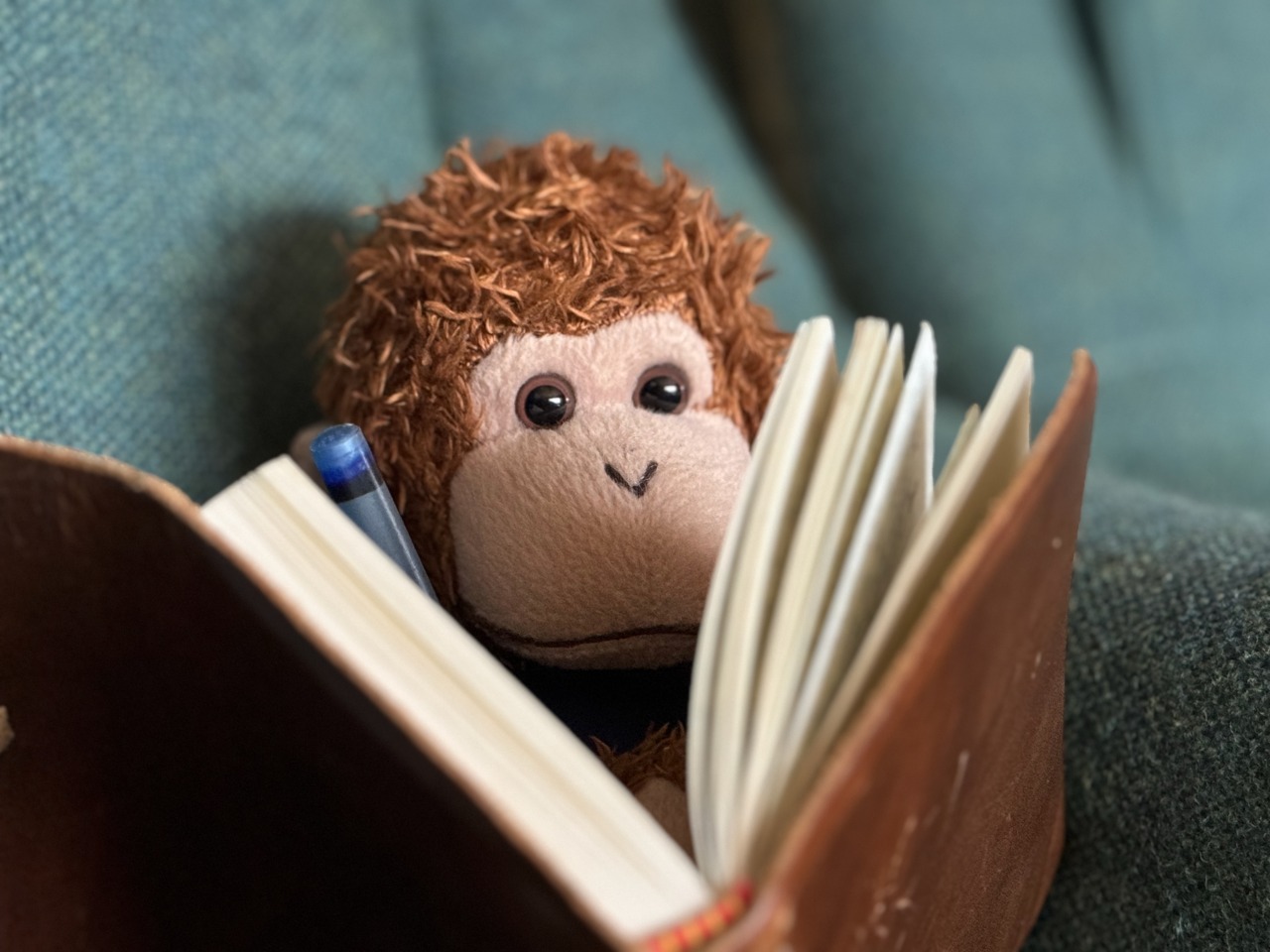 Bob T. Monkey making some notes in his notebook.