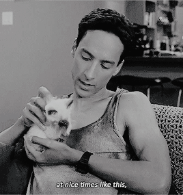 helenekuragina:community,  season four / episode ten:  intro to knots.