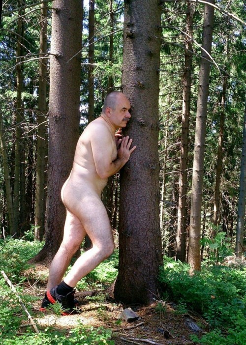 kingminos:  Jano in the Forest!  ❤ ❤ ❤KINGMINOS - 33.000 Followers - ARCHIVE 