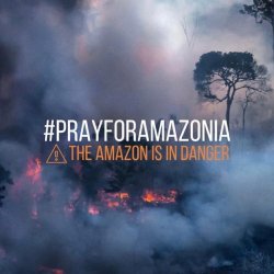 dragonsandme: dragonsandme:  dragonsandme: The Amazon are burning for weeks and our government just don’t care,   because agriculture makes money. The smoke already hit São Paulo and won’t stop until the fire ends.   “Last month, INPE showed