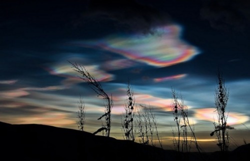 ethicfail:  Nature: No Photoshop required. 1. Lenticular Clouds2. Anvil Clouds3. Cirrus Kelvin-Helmholtz Clouds4. Fallstreak Hole5. Mammatus Clouds6. Polar Stratospheric Cloud7. Roll Cloud8. Undulatus Asperatus9. Mammatus Clouds10. Undulatus Asperatus