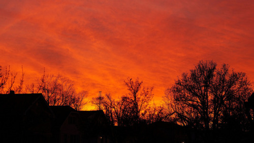 first:    Photograph by Kenny Wagner.  
