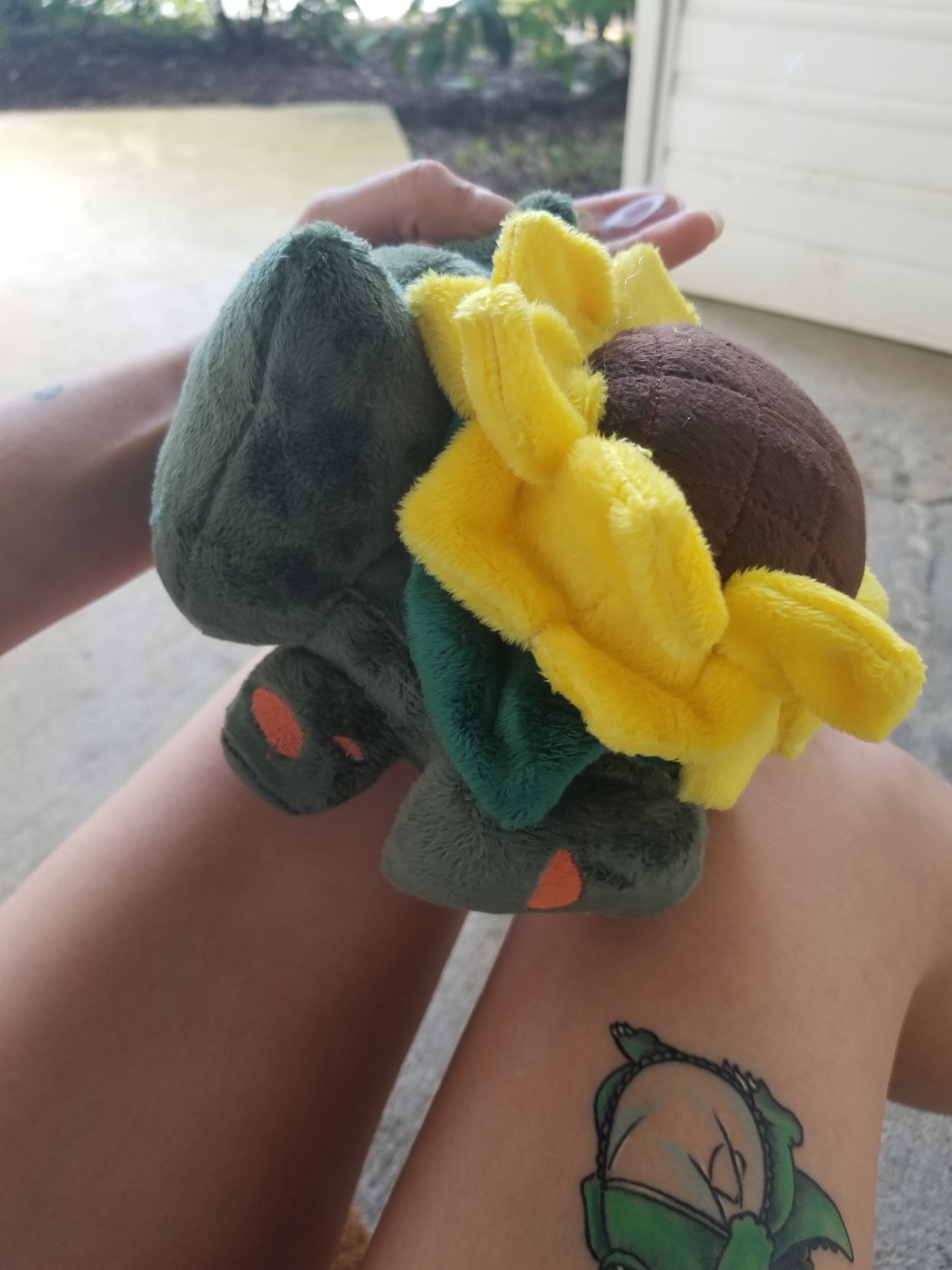 sunflower bulbasaur plush