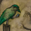 green-jackdaw
