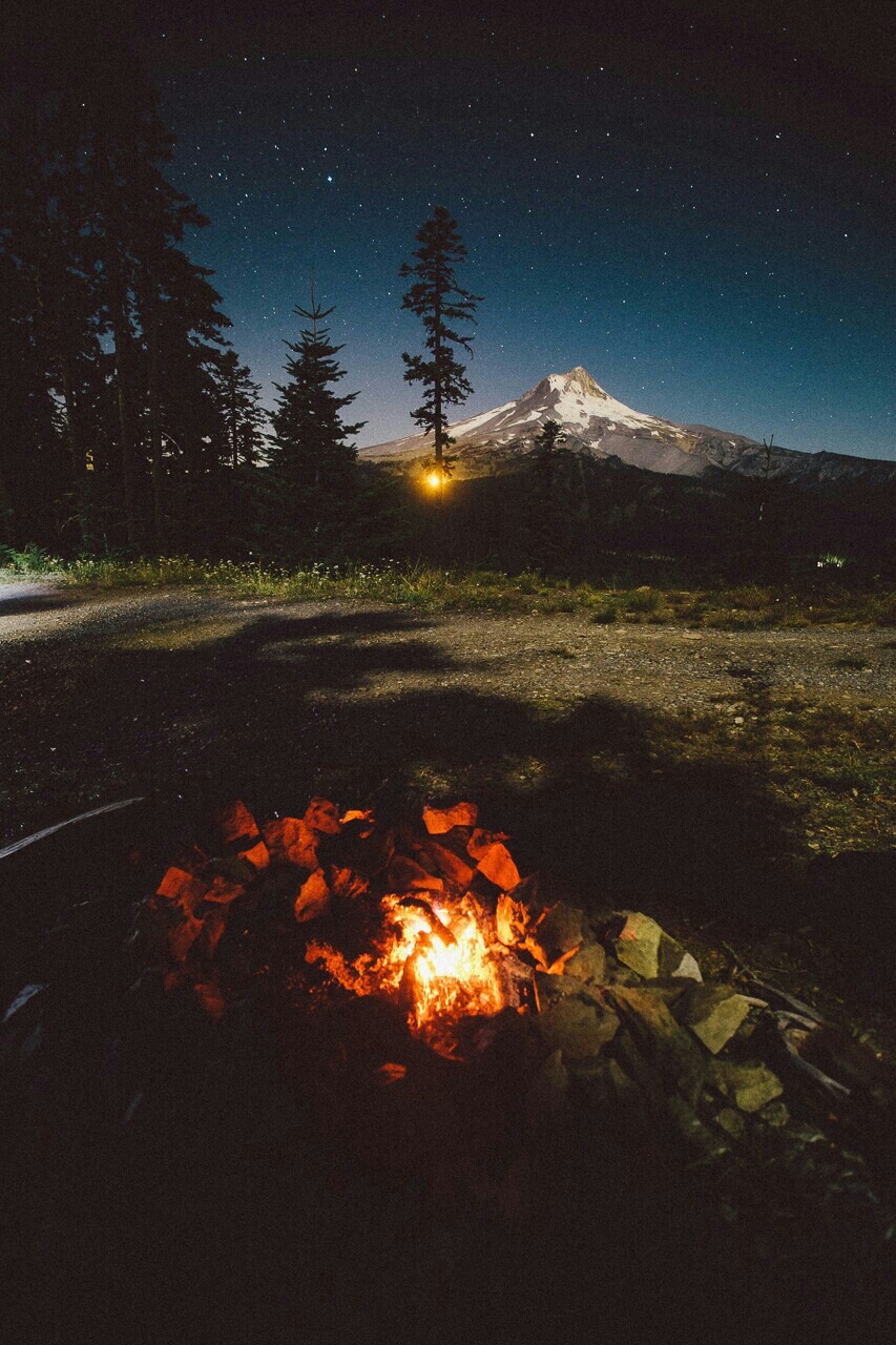 behiind-the-camera-lens:  Follow me for your daily dose of photographyhttps://www.instagram.com/snoww.whyte/