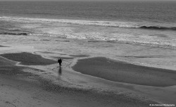 jimpatersonphotography:  Detecting - Dorset,