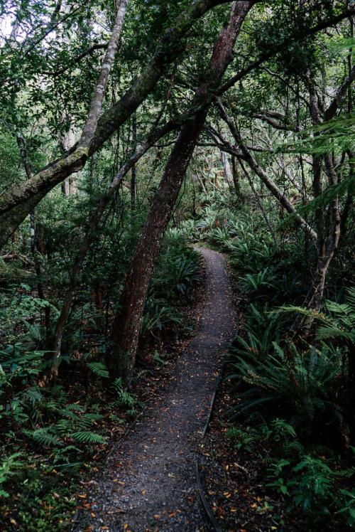 Rakiura aka Stewart Island, “the anchor of NZ.”