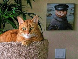 awwwwwwwsocute:He looks just like his granddaddy
