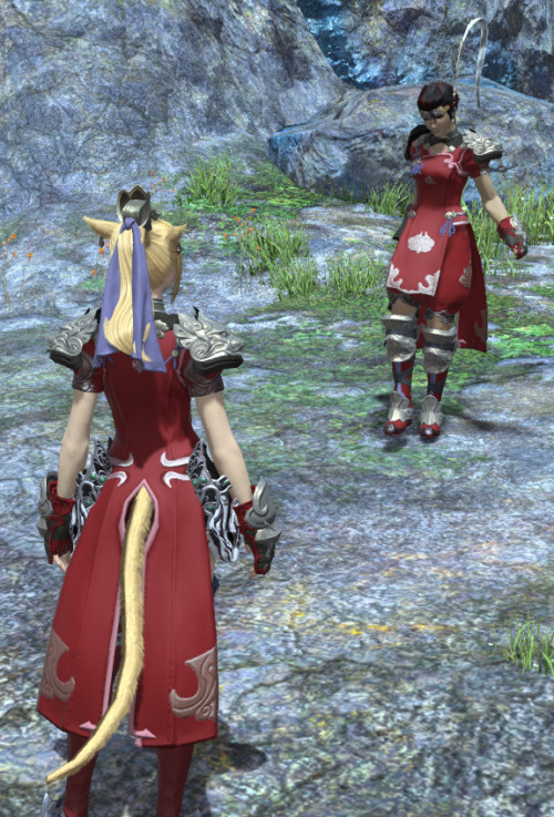 invinciblecatfistffxiv:I briefly ran into @zenathered on Balmung this week in Mor Donah.