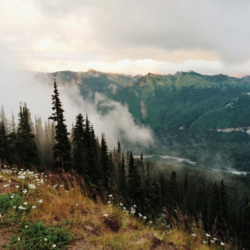 landroverusa: On the Precipice Gazing across the valley.