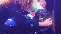 girl-fightt:  soldierporn:  He’s not a dog, he’s a Marine.  NOT CRYING. NOPE