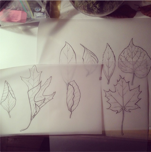 Pen & Ink - Assorted Leaves