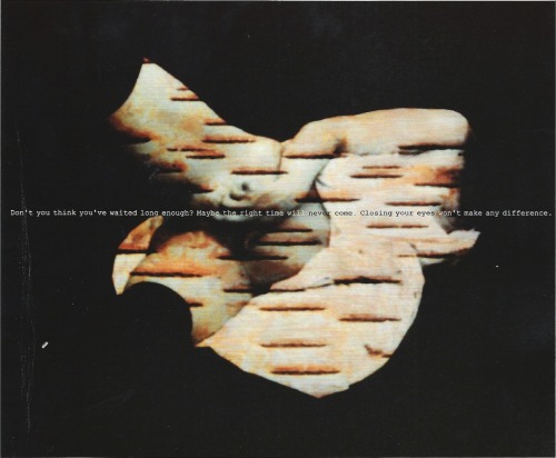 lesbianartandartists:  Shonagh Adelman, Mastbark, 1993computer generated cibachrome print48″ x 72″ 