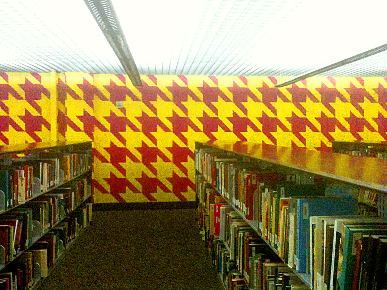 Scad Stop Tumblr Gallery