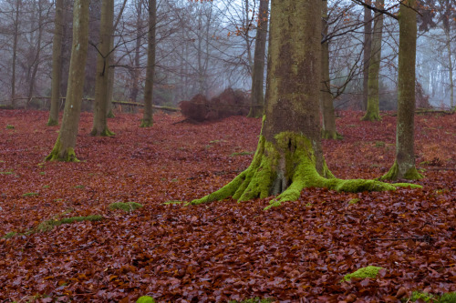 marcel-photos: Hiking Impressions - Edersee, Hessen, Germany Photography by Marcel Briefs, 2015, CC 