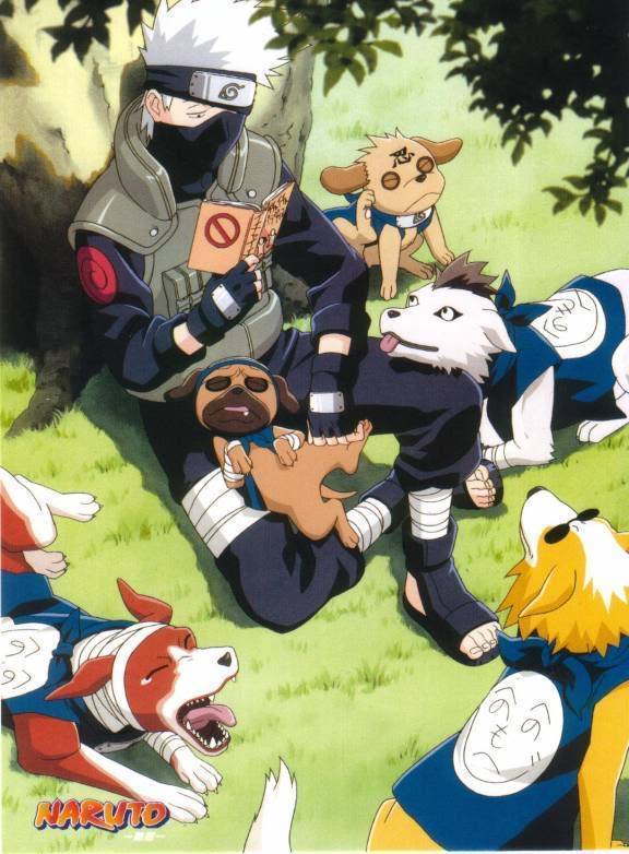 weirdlyadorbs:
“ Kakashi and his doggies. 😍😙😘😚😄
”