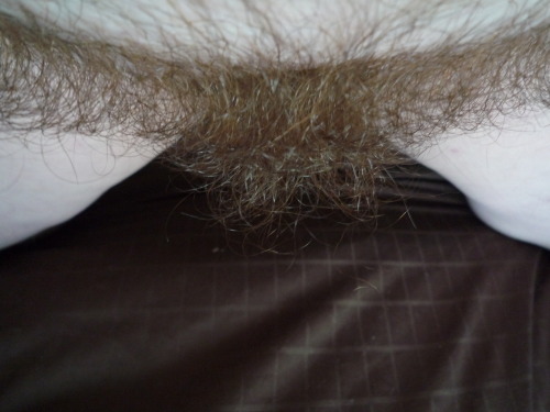 veryhairywomanlover:  Bushy