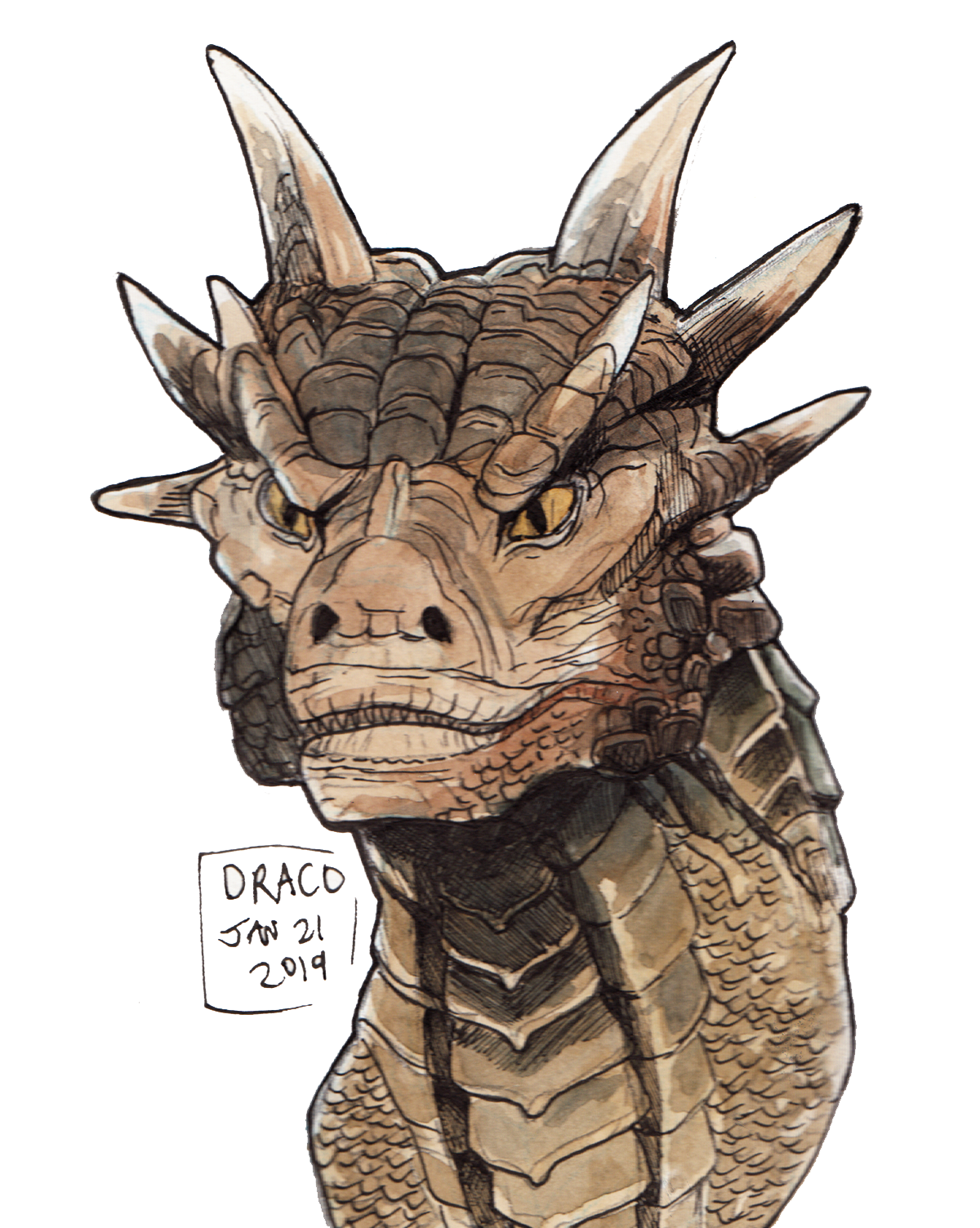 Dragonheart Dragonheart