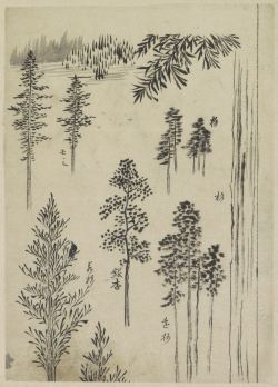 nobrashfestivity:  Katsushika Hokusai, Pines
