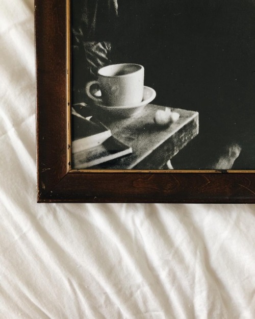 rudyvitkauskas:“even bad coffee is better than no coffee at all.” -  david lynch