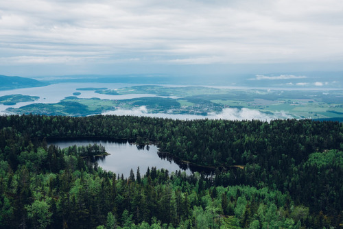danielodowd:Gyrihaugen, Norway (682 masl) by Atle Rønningen on Flickr.