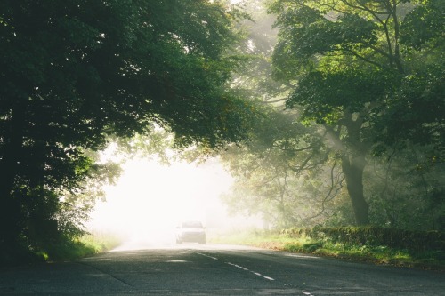 dpcphotography:  Around Longshaw Estate   www.danielcasson.com 