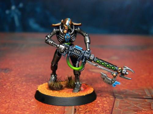  The tenth Necron Warrior of Nihilakh Dynasty. 