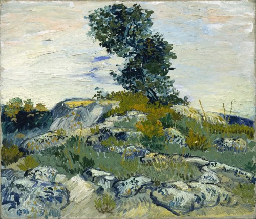 earth-co:  #VanGogh of the Day: The Rocks, early July 1888. Oil on canvas, 54 x 65 cm. The Museum of Fine Arts, Houston. 