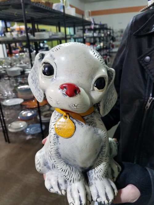 I wonder what secrets he has stored inside that massive noggin.