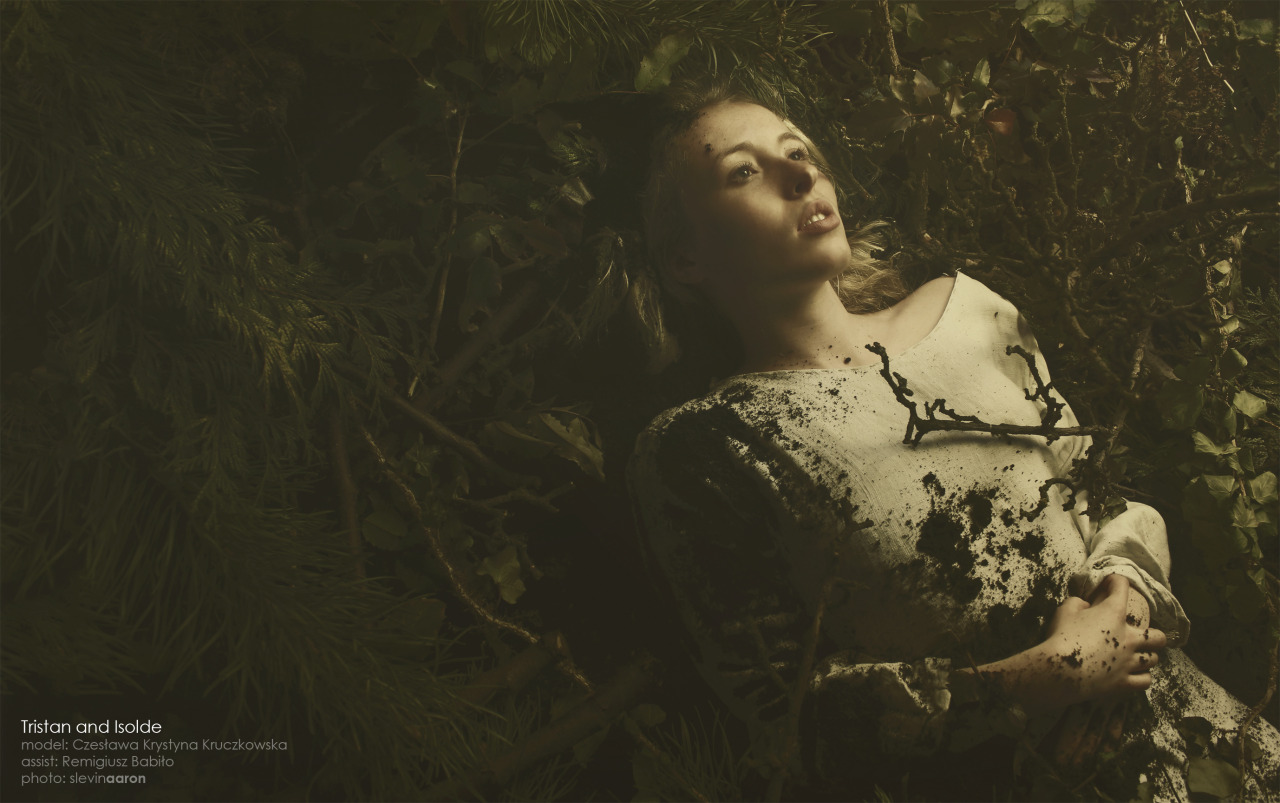 fairytalemood:  &ldquo;Tristan and Isolde&rdquo; by slevinaaron (Bartosz