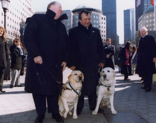 poochcrew: The two guide dogs who led their owners down 70 floors in the World Trade Center before t
