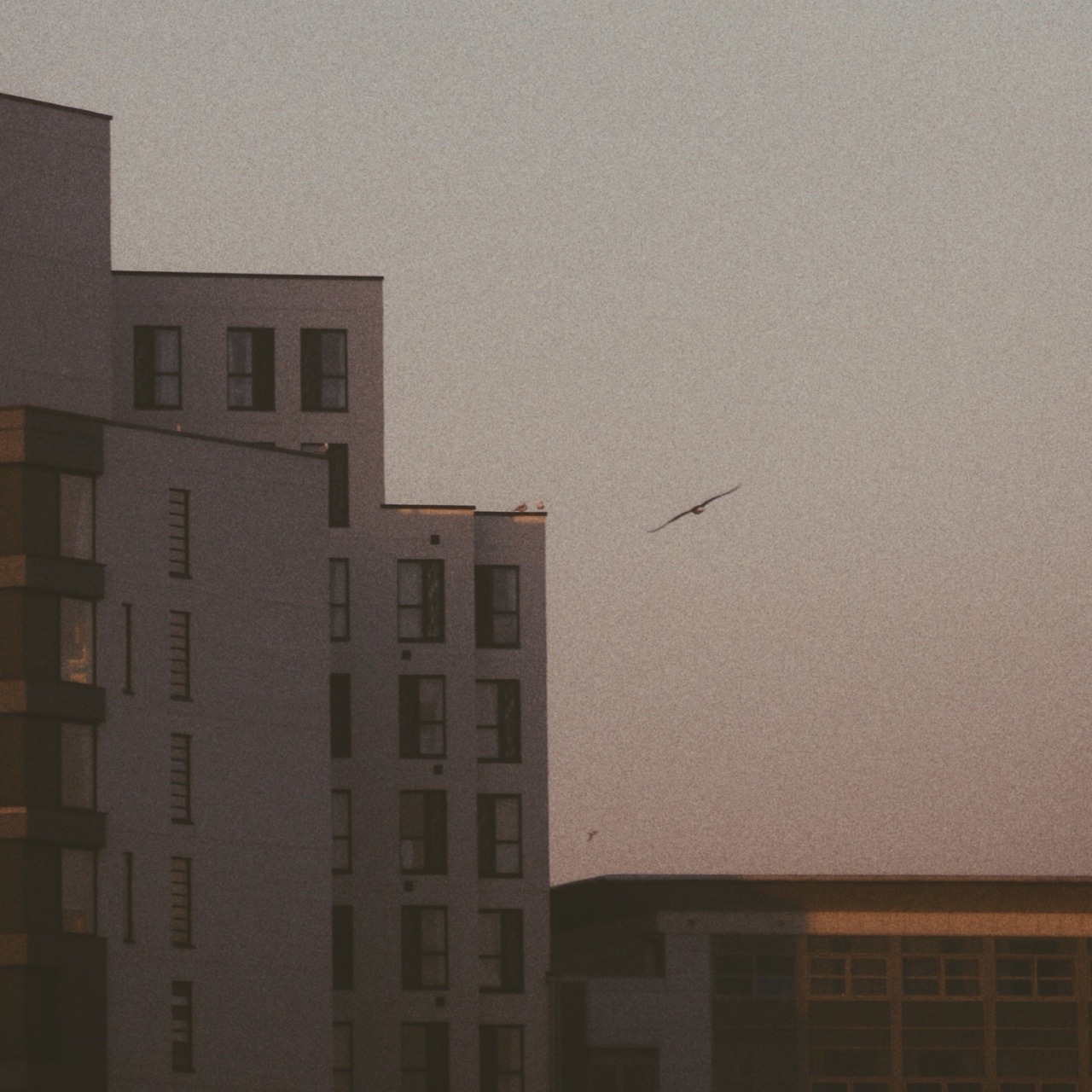 olivehoover:      views from my window tonight  
