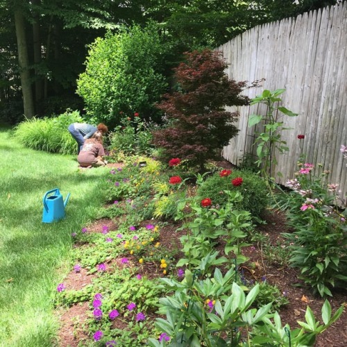 Columbine redesigned selected garden beds throughout this property last year and are now coaching th