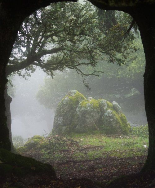 lunarynth:  burning-soul:  Forest Portal, Sardinia, Italy  I need to go back to Italy