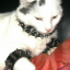 kittycl0ve